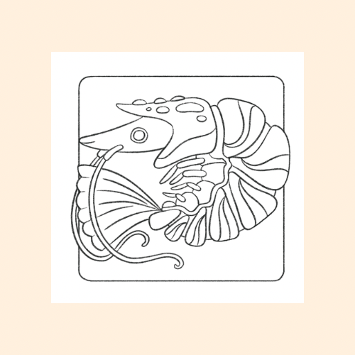 Agori, mundo marino para colorear - Imagen 3